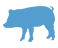 livestock